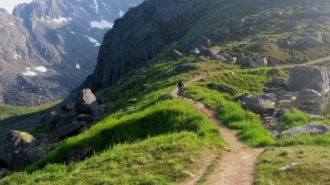 Hatcher Pass Cabins Palmer Ngoại thất bức ảnh